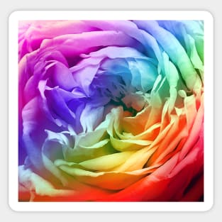 Rainbow Rose Flower Petal Pattern Sticker